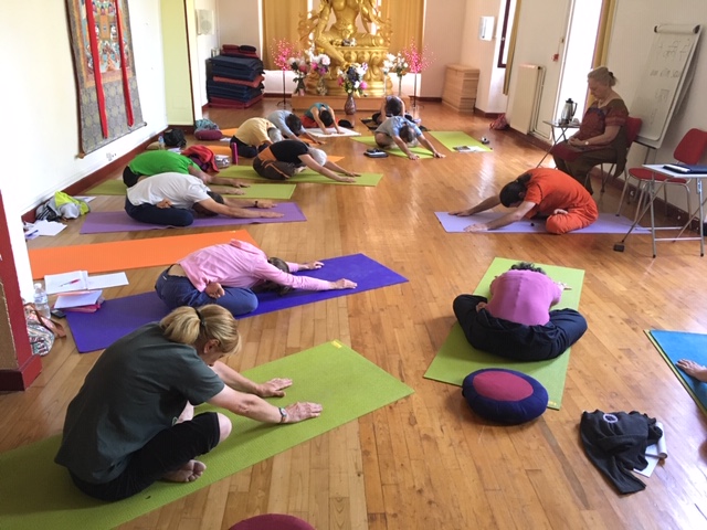 Photo de groupe en posture de yoga- Institut du Yoga Traditionnel Photo de pratiquants de yoga en posture assise inclinés sur l'avant